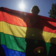 Illustration for article titled DC Superior Court Goes Mutombo on Gay Marriage Referendum
